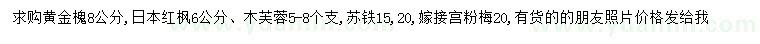 求購(gòu)黃金槐、日本紅楓、木芙蓉等