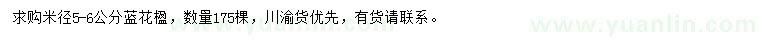 求購(gòu)米徑5-6公分藍(lán)花楹