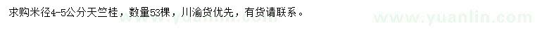 求購米徑4-5公分天竺桂