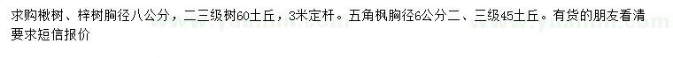 求購(gòu)楸樹(shù)、梓樹(shù)、五角楓