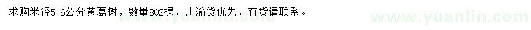 求購(gòu)米徑5-6公分黃葛樹