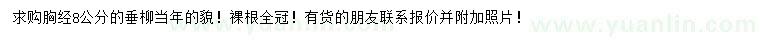 求購胸徑8公分垂柳