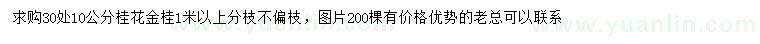 求購30處量10公分桂花、金桂