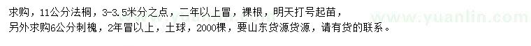 求購11公分法桐、6公分刺槐