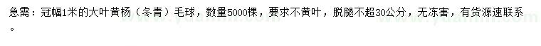 求購冠幅1米大葉黃楊毛球