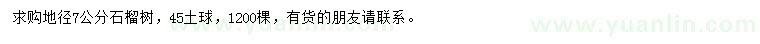 求購地徑7公分石榴樹