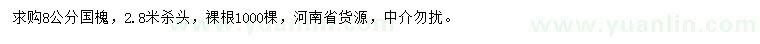 求購8公分國槐