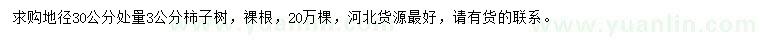 求購(gòu)地徑30公分處量3公分柿子樹