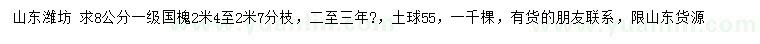 求購8公分國槐