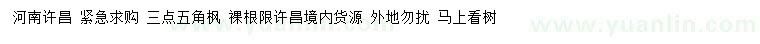 求購3公分五角楓