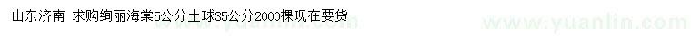 求購5公分絢麗海棠