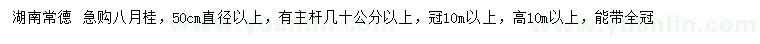 求購直徑50公分以上八月桂