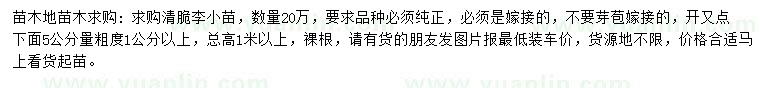 求購(gòu)清脆李小苗