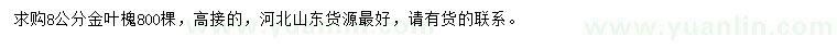 求購8公分金葉槐