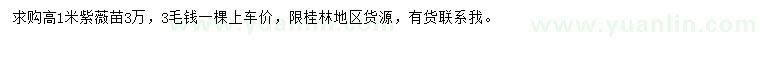 求購高1米紫薇苗