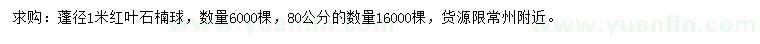 求購蓬徑80、1米紅葉石楠球