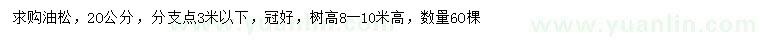 求購20公分油松