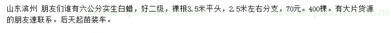 求購6公分實生白蠟
