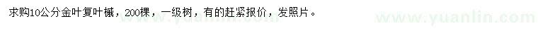 求購10公分金葉復(fù)葉槭