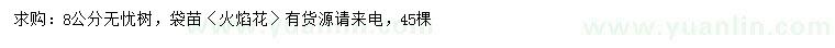 求購8公分無憂樹、火焰花