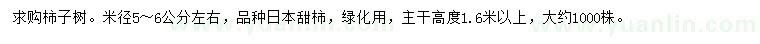 求購(gòu)米徑5-6公分柿子樹