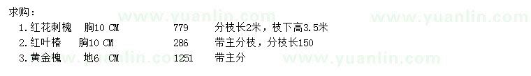 求購紅花刺槐、紅葉椿、黃金槐