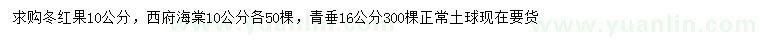 求購冬紅果、西府海棠、青垂
