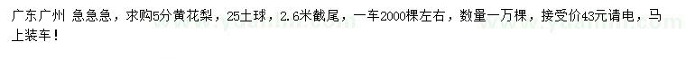 求購5分黃花梨