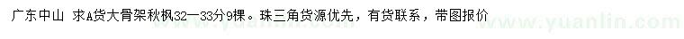 求購(gòu)32-33公分大骨架秋楓