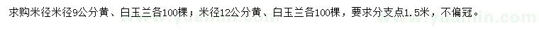 求購米徑9、12公分黃、白玉蘭