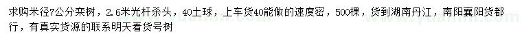 求購(gòu)米徑7公分欒樹(shù)