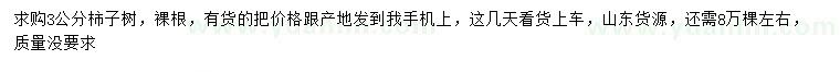 求購3公分柿子樹