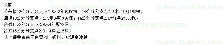 求購千頭椿、國槐、欒樹等