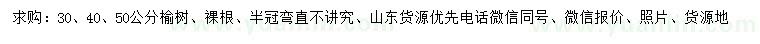求購30、40、50公分榆樹