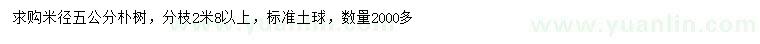 求購(gòu)米徑5公分樸樹