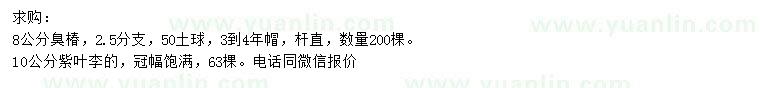 求購8公分臭椿、10公分紫葉李
