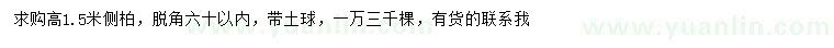 求購高1.5米側(cè)柏