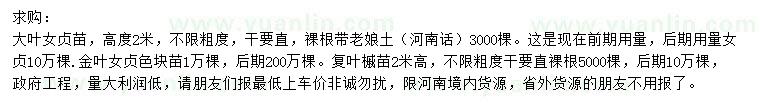 求購大葉女貞、金葉女貞、復葉槭