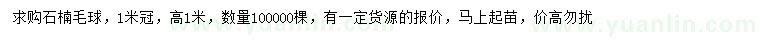 求購冠1米石楠