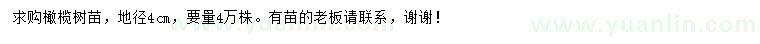 求購地徑4公分橄欖樹苗