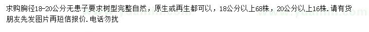 求購胸徑18-20公分無患子
