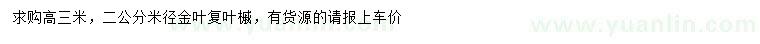 求購高3米金葉復葉槭