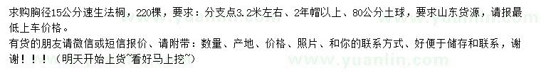 求購胸徑15公分速生法桐
