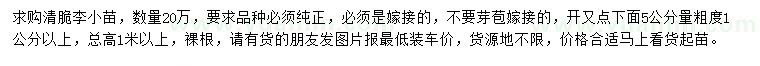 求購(gòu)高1米以上清脆李小苗