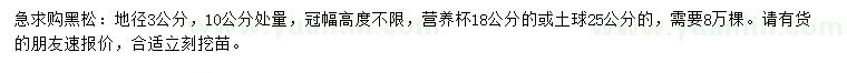 求購地徑3公分黑松