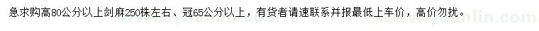 求購高80公分以上劍麻