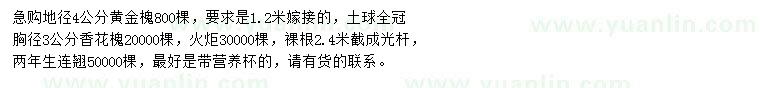 求購(gòu)黃金槐、香花槐、火炬等