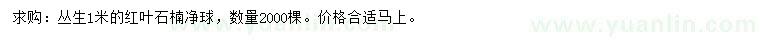 求購(gòu)1米紅葉石楠