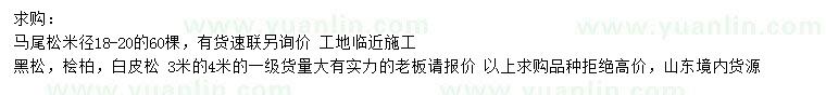 求購(gòu)馬尾松、黑松、檜柏等