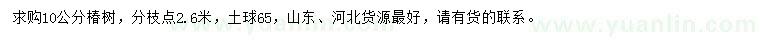 求購10公分椿樹